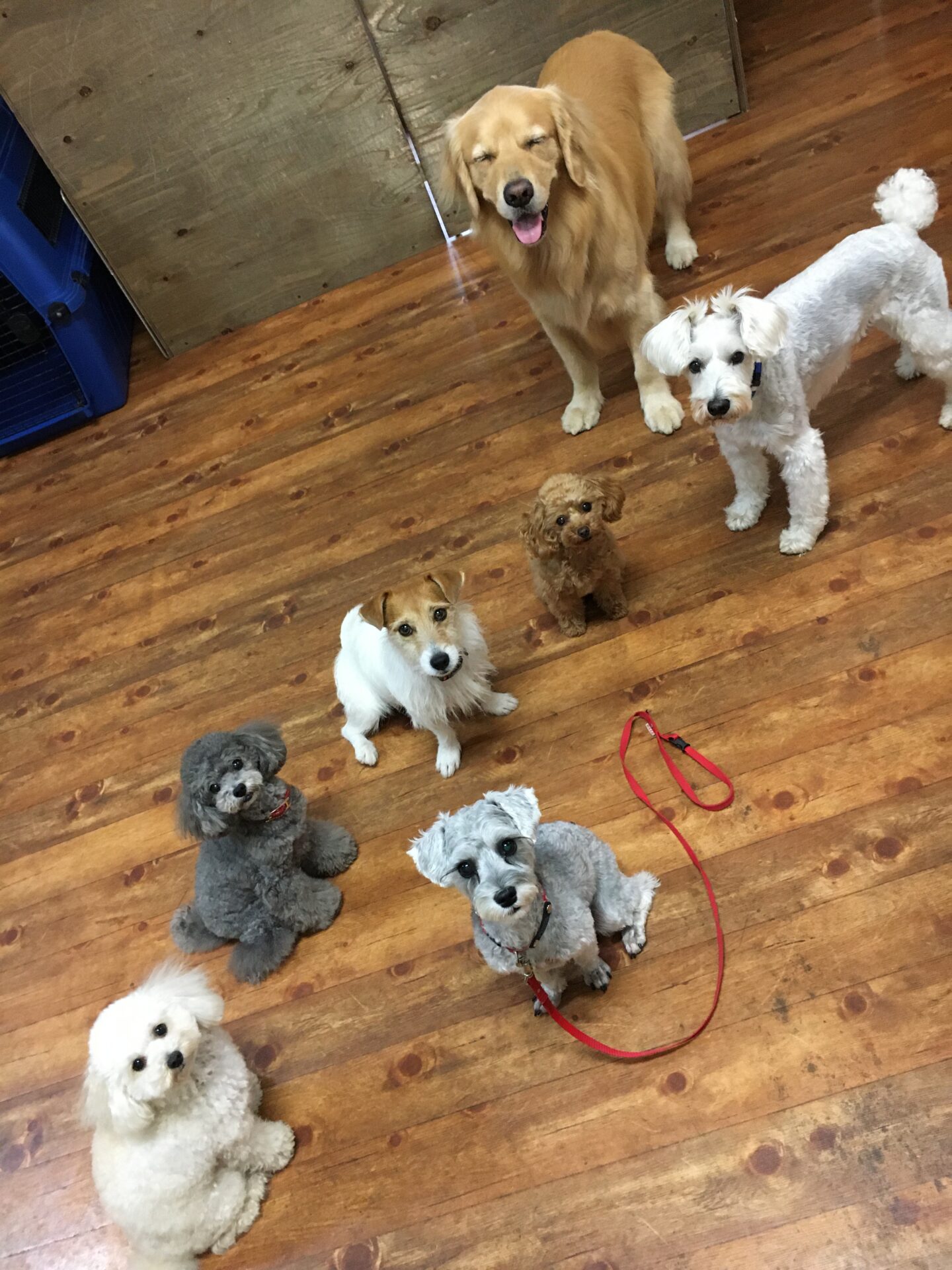 ファイル 8384-3.jpeg