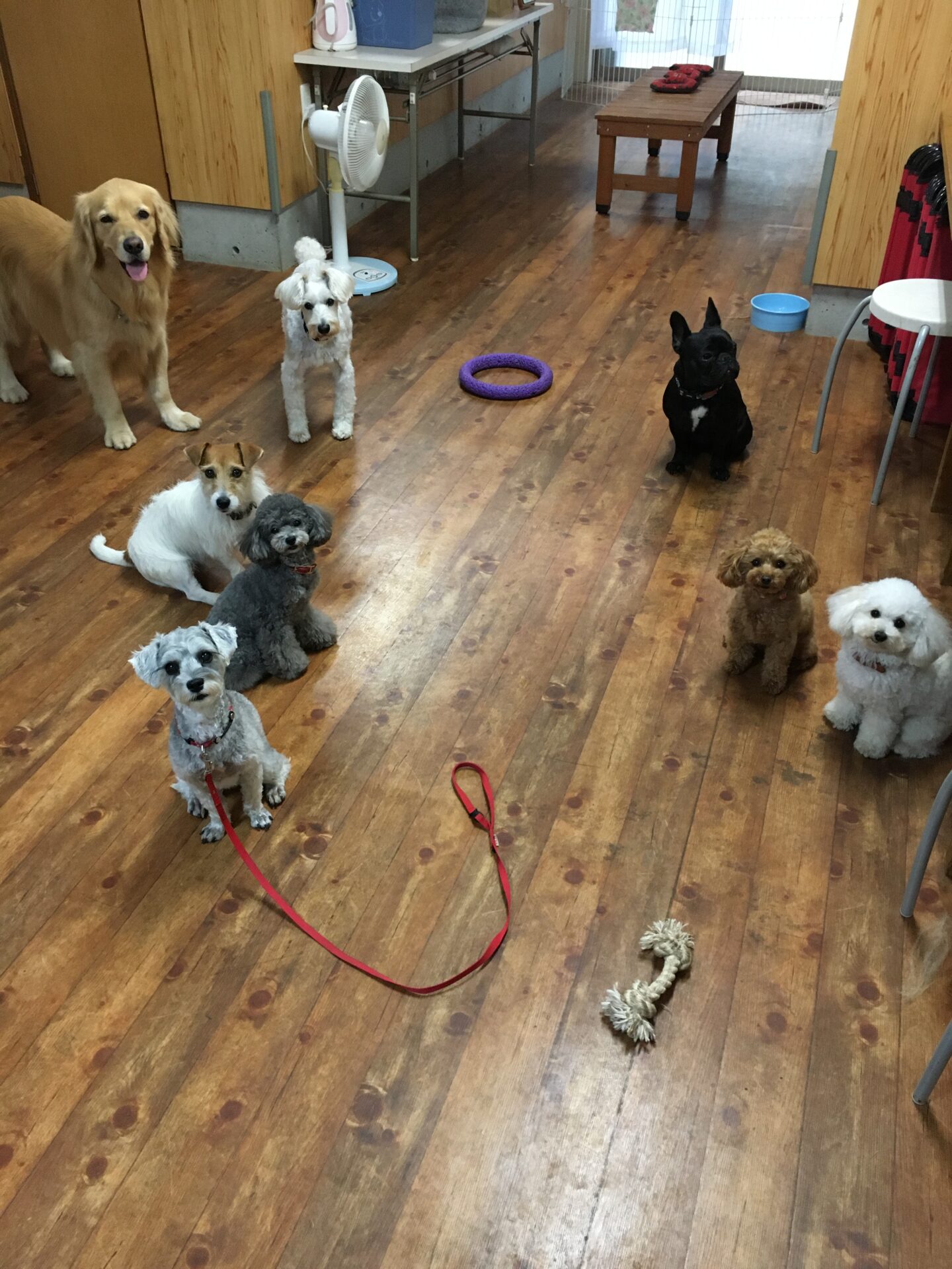 ファイル 8384-4.jpeg