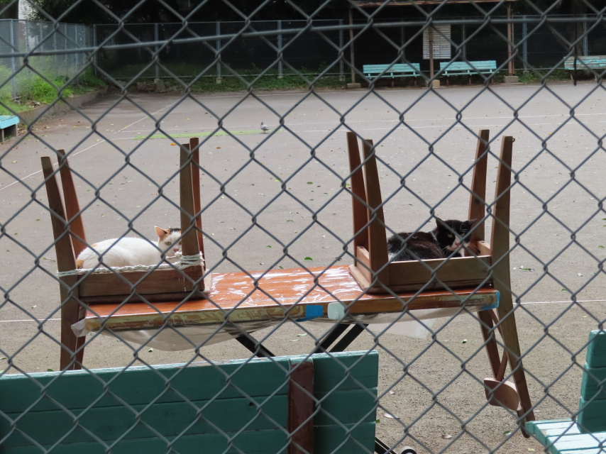 ファイル 8385-3.jpg