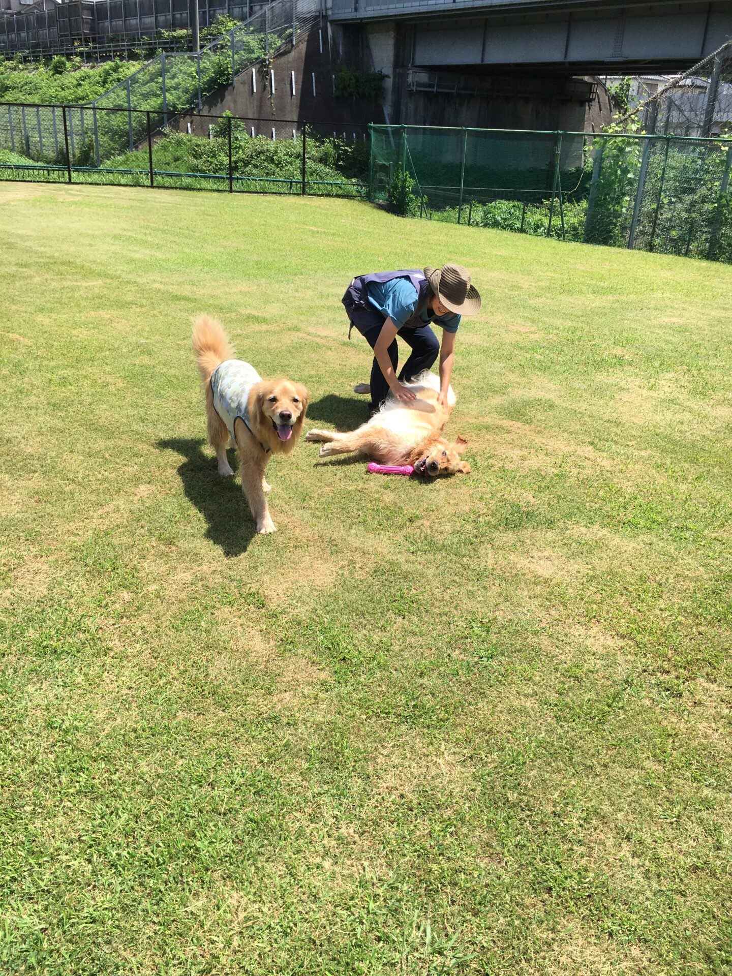 ファイル 8387-1.jpeg