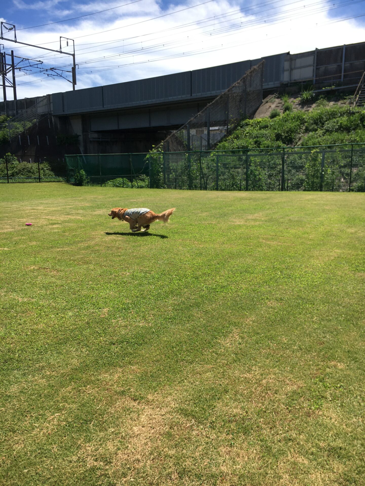 ファイル 8387-3.jpeg