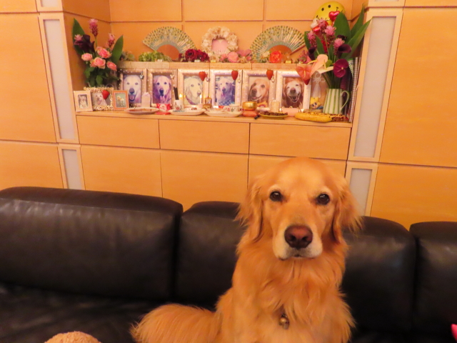 ファイル 8388-3.jpg