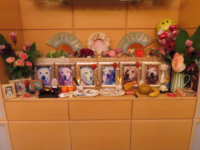 ファイル 8389-1.jpg