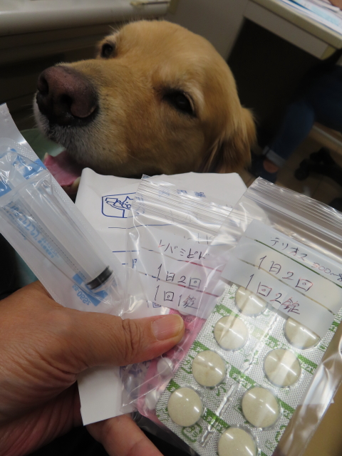 ファイル 8389-4.jpg