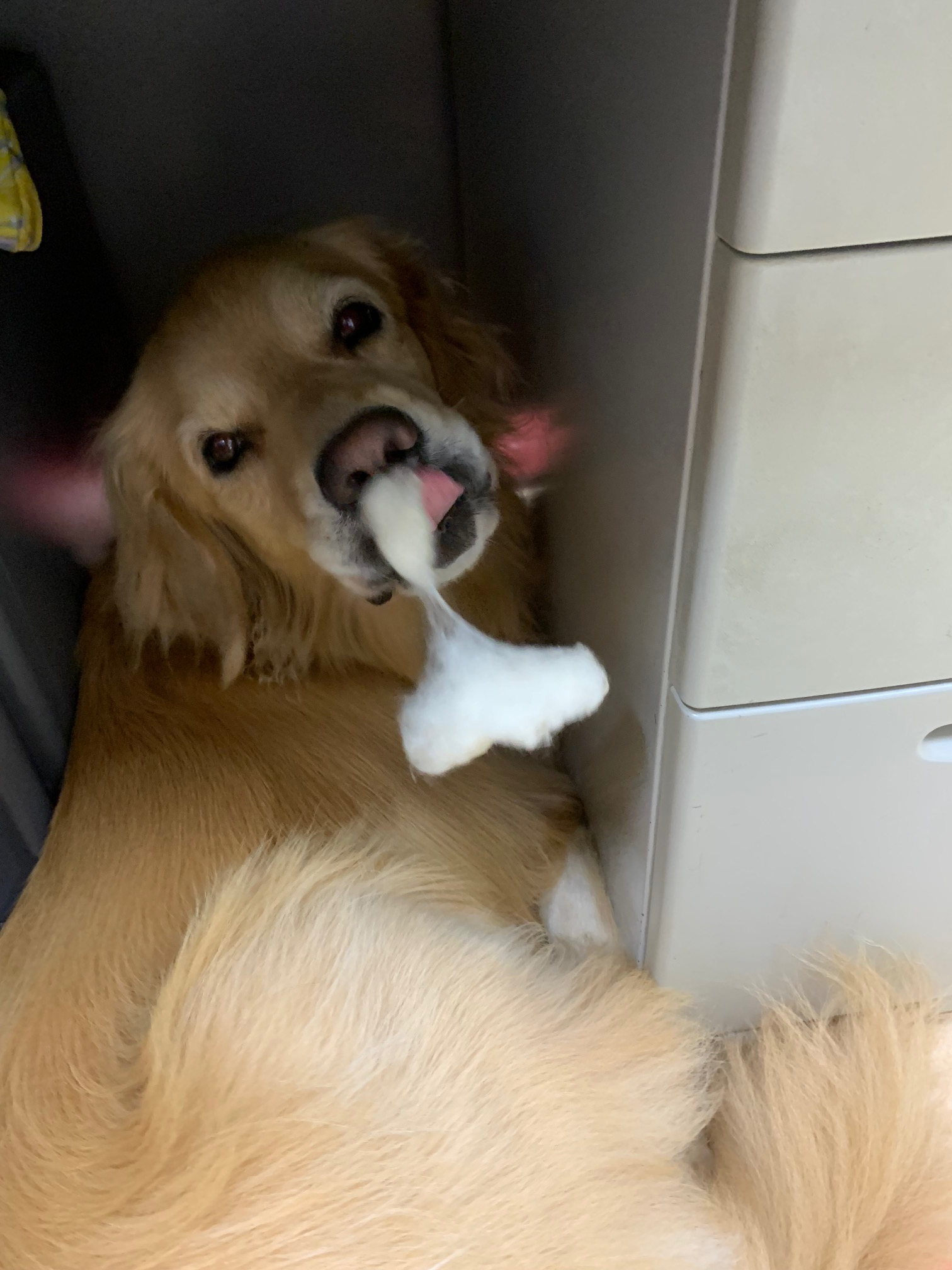 ファイル 8390-1.jpg