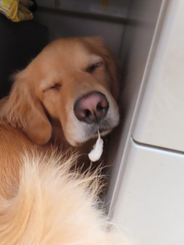 ファイル 8390-3.jpg