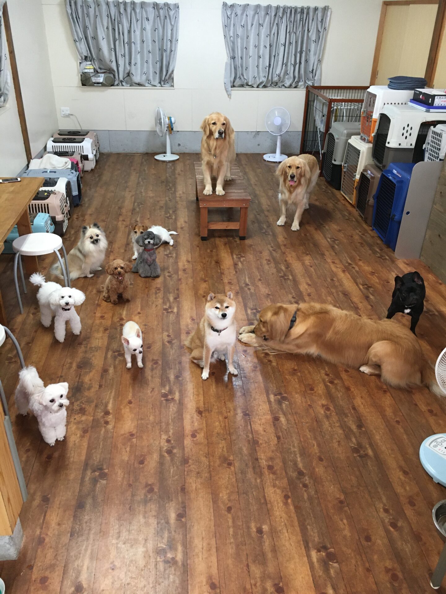 ファイル 8391-1.jpeg