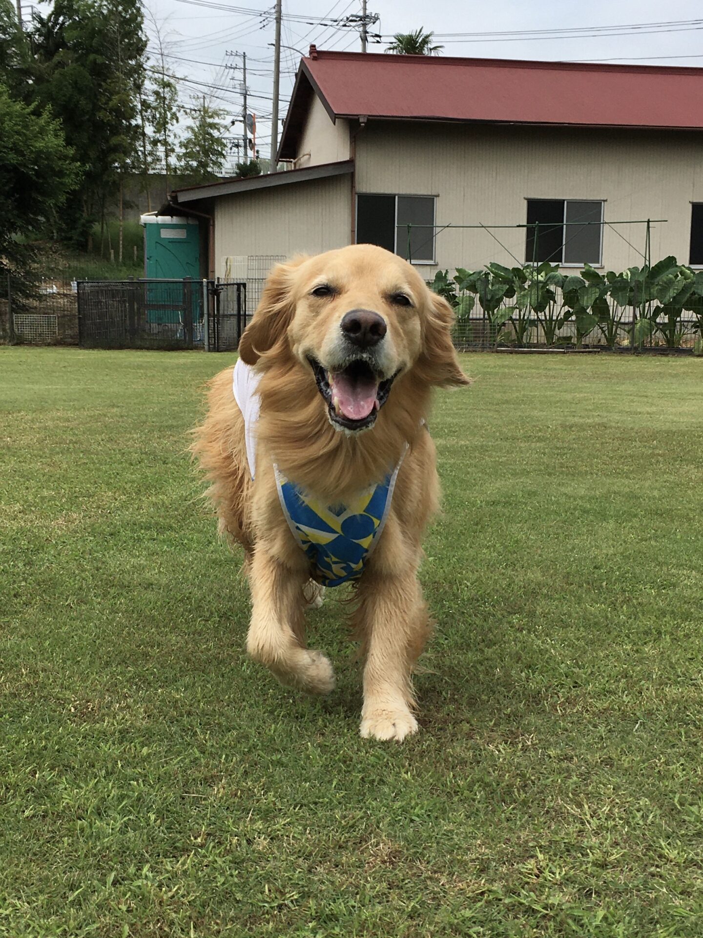 ファイル 8391-3.jpeg