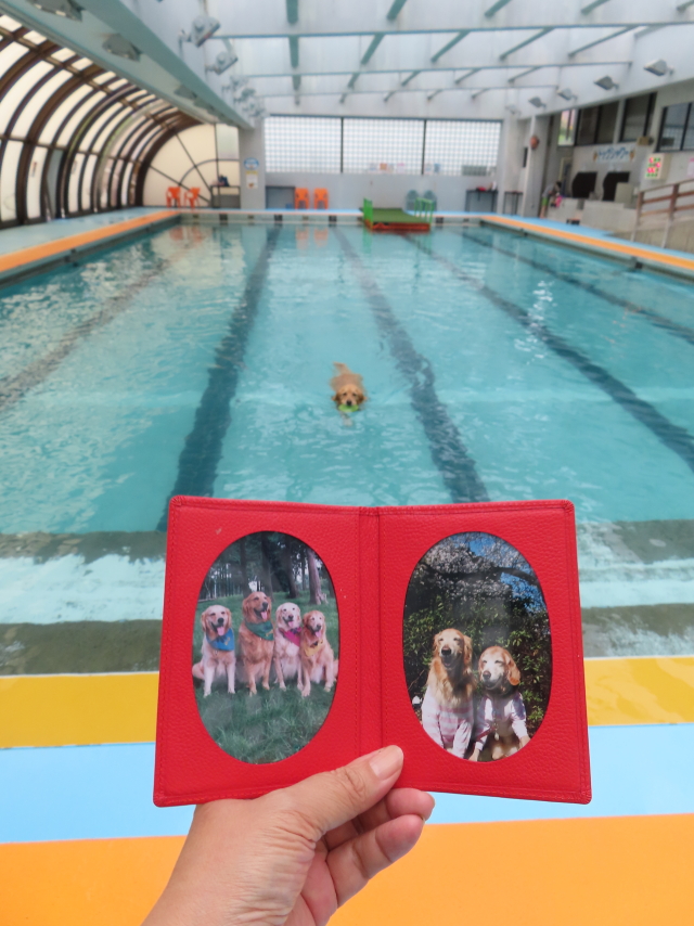 ファイル 8392-1.jpg