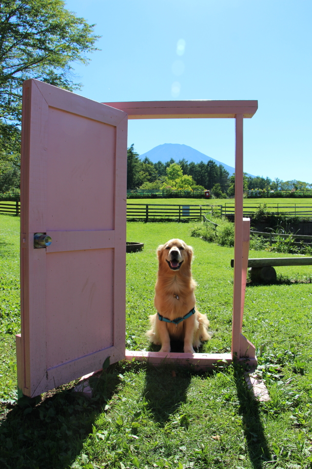 ファイル 8392-2.jpg