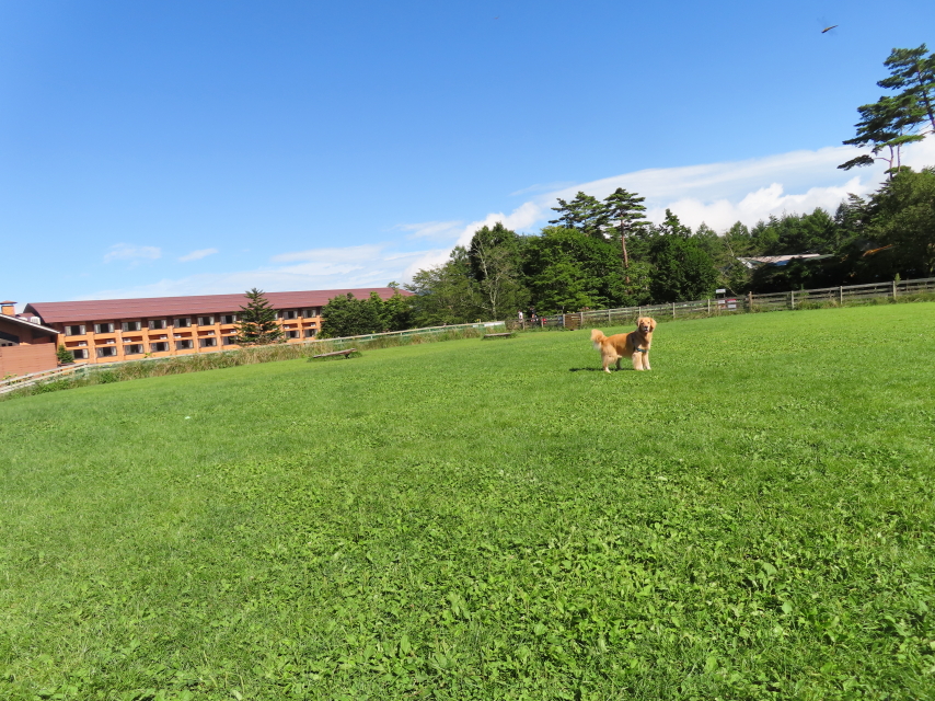 ファイル 8392-3.jpg