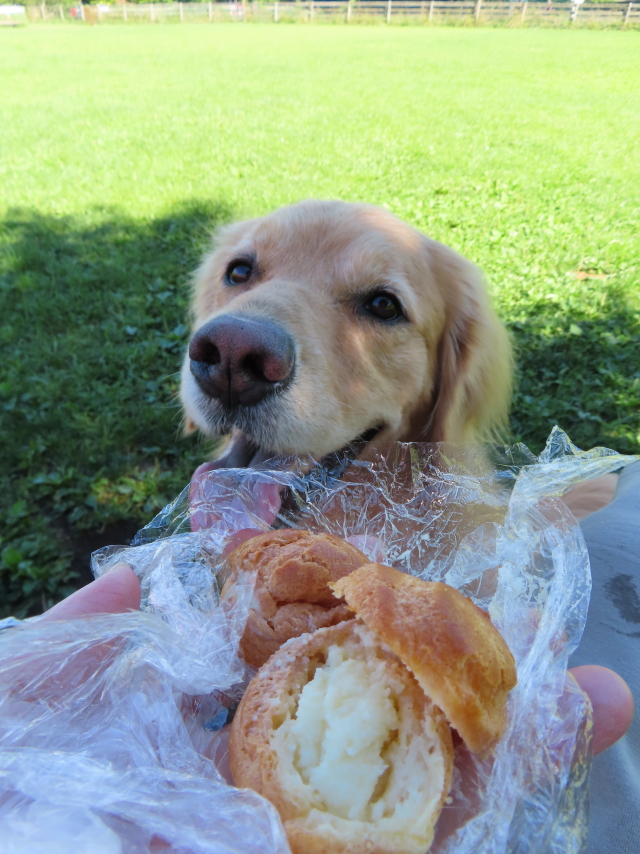 ファイル 8392-4.jpg