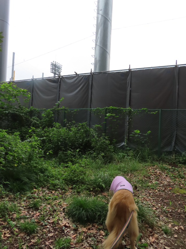 ファイル 8394-3.jpg