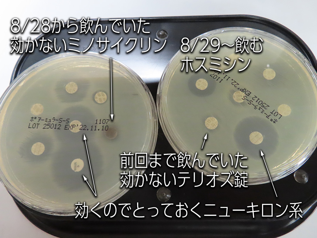 ファイル 8396-1.jpeg