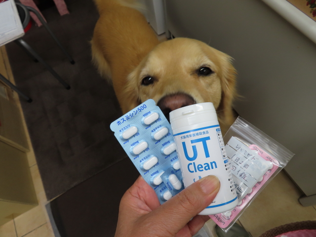 ファイル 8396-2.jpg