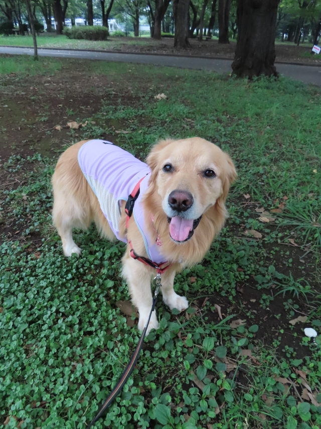 ファイル 8396-3.jpg