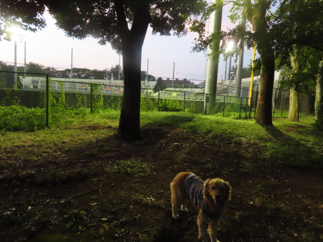 ファイル 8396-5.jpg