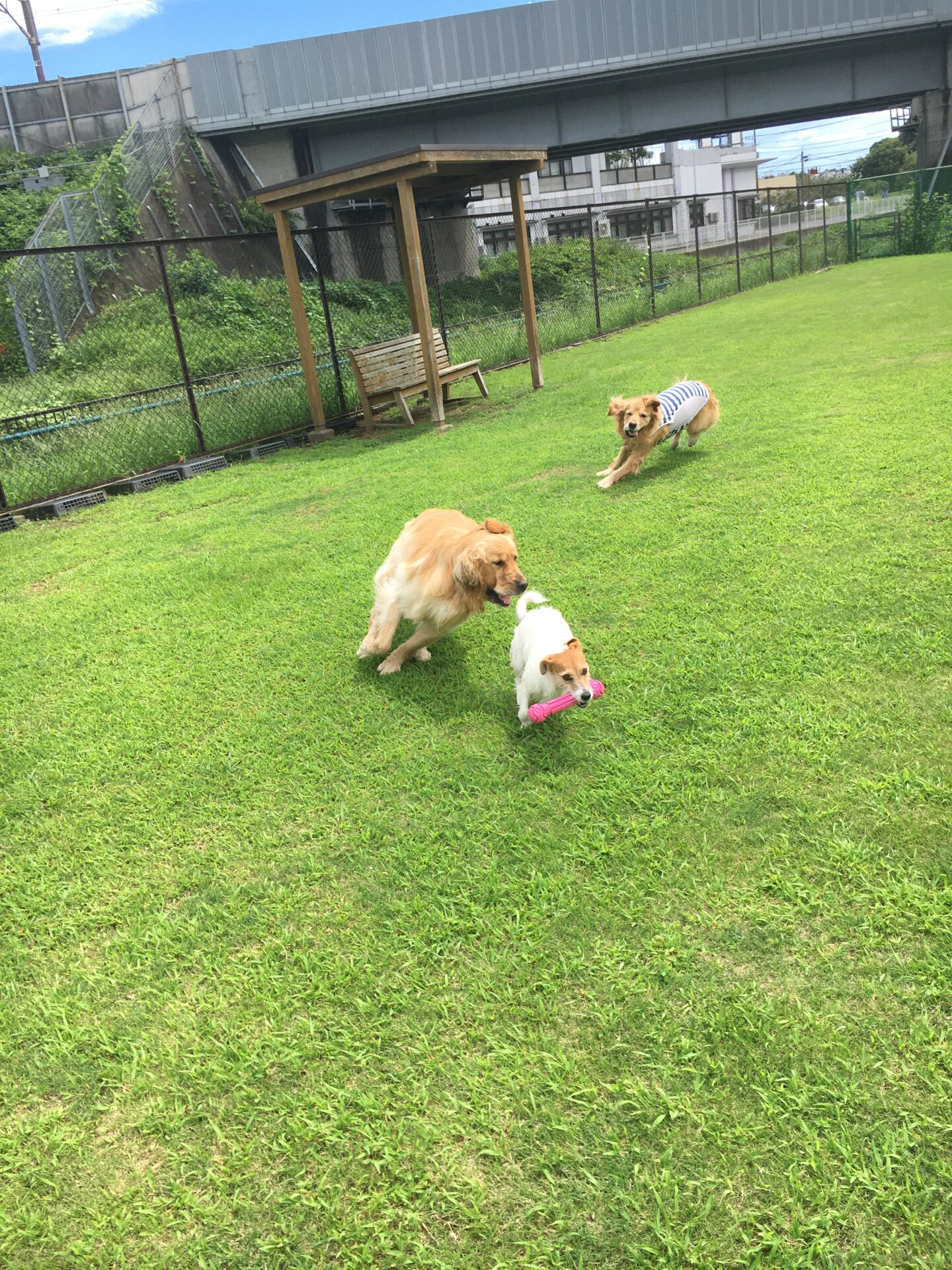 ファイル 8398-2.jpeg