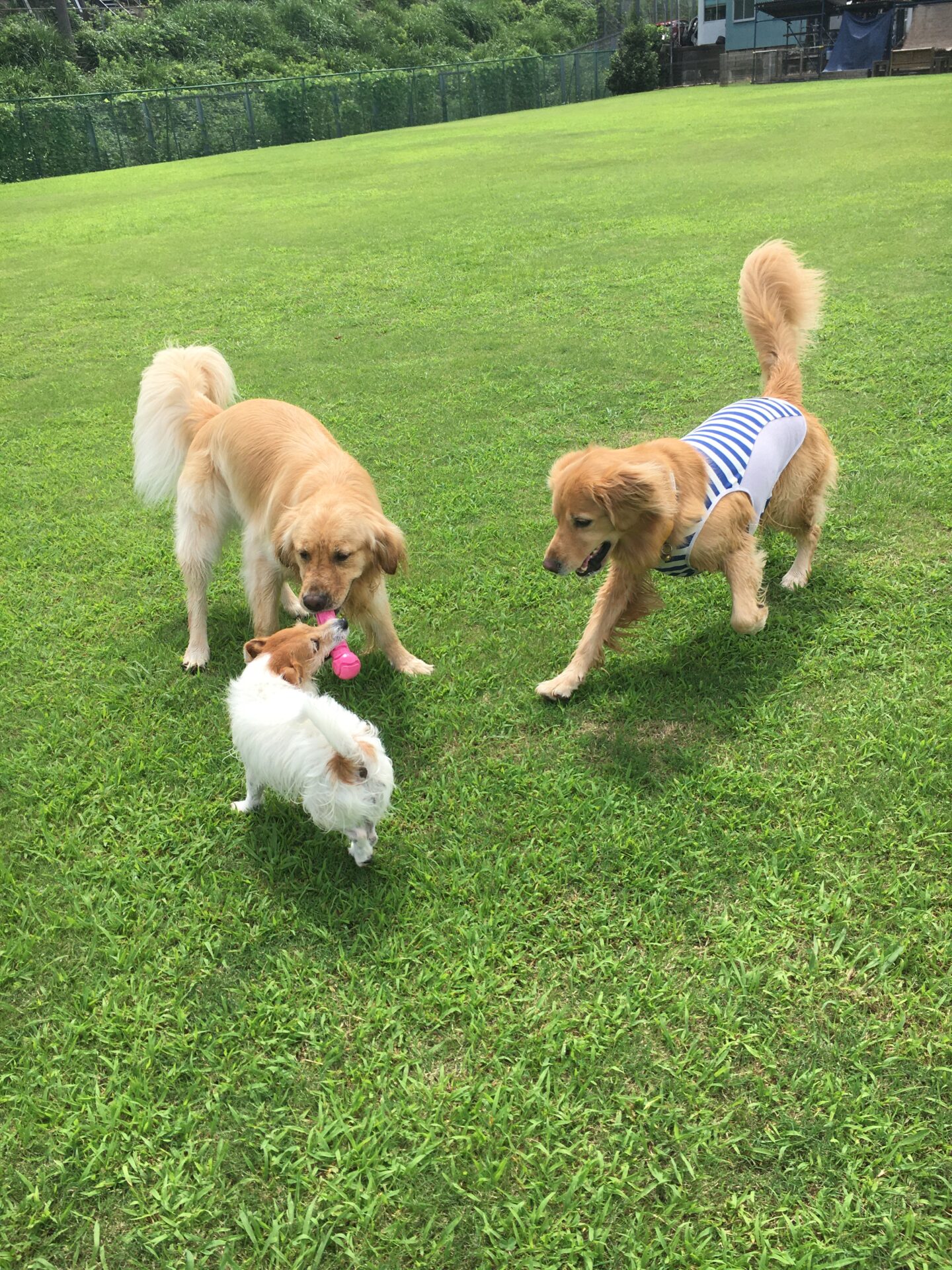 ファイル 8398-3.jpeg