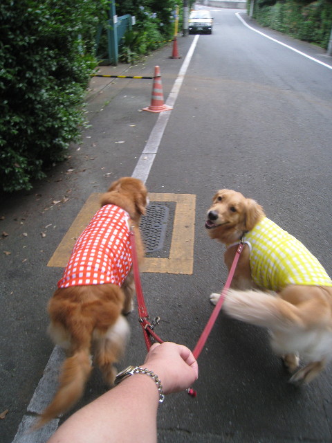 ファイル 840-1.jpg