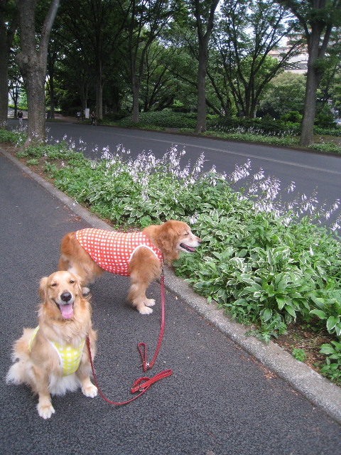 ファイル 840-2.jpg