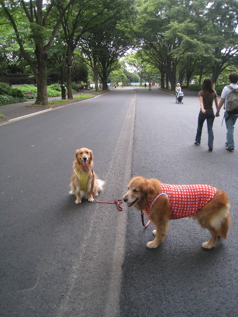 ファイル 840-3.jpg