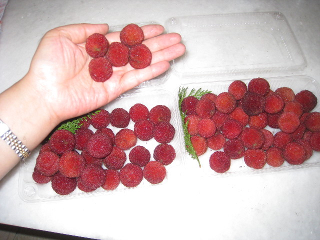 ファイル 840-5.jpg