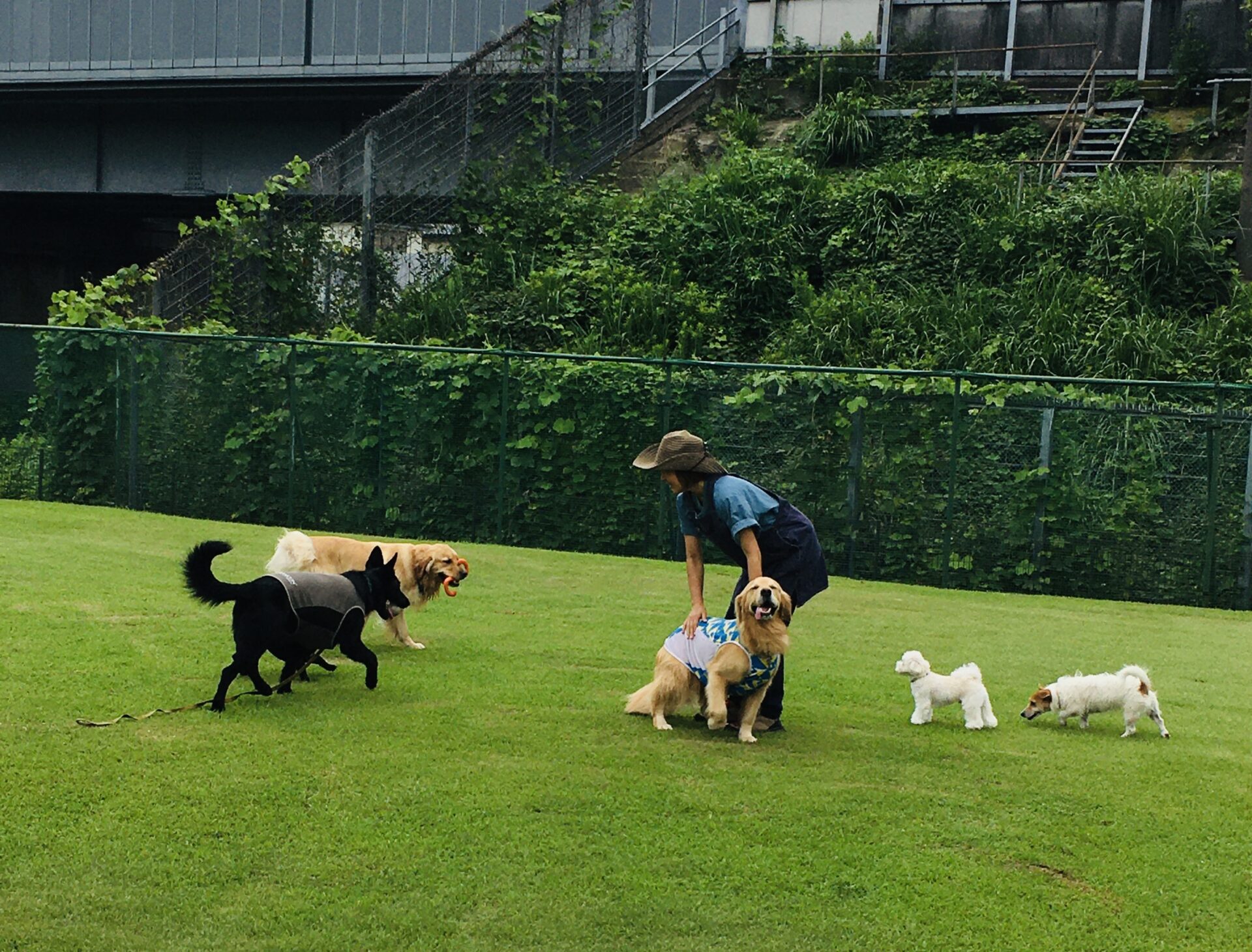 ファイル 8400-2.jpeg