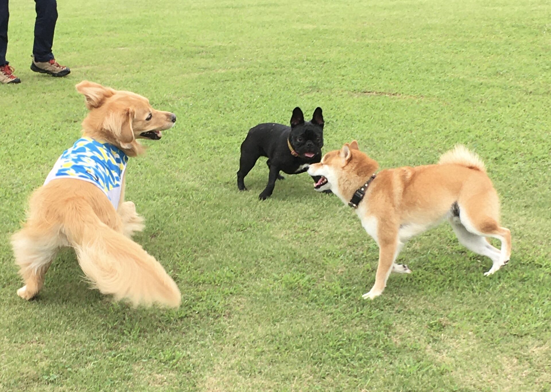 ファイル 8400-3.jpeg