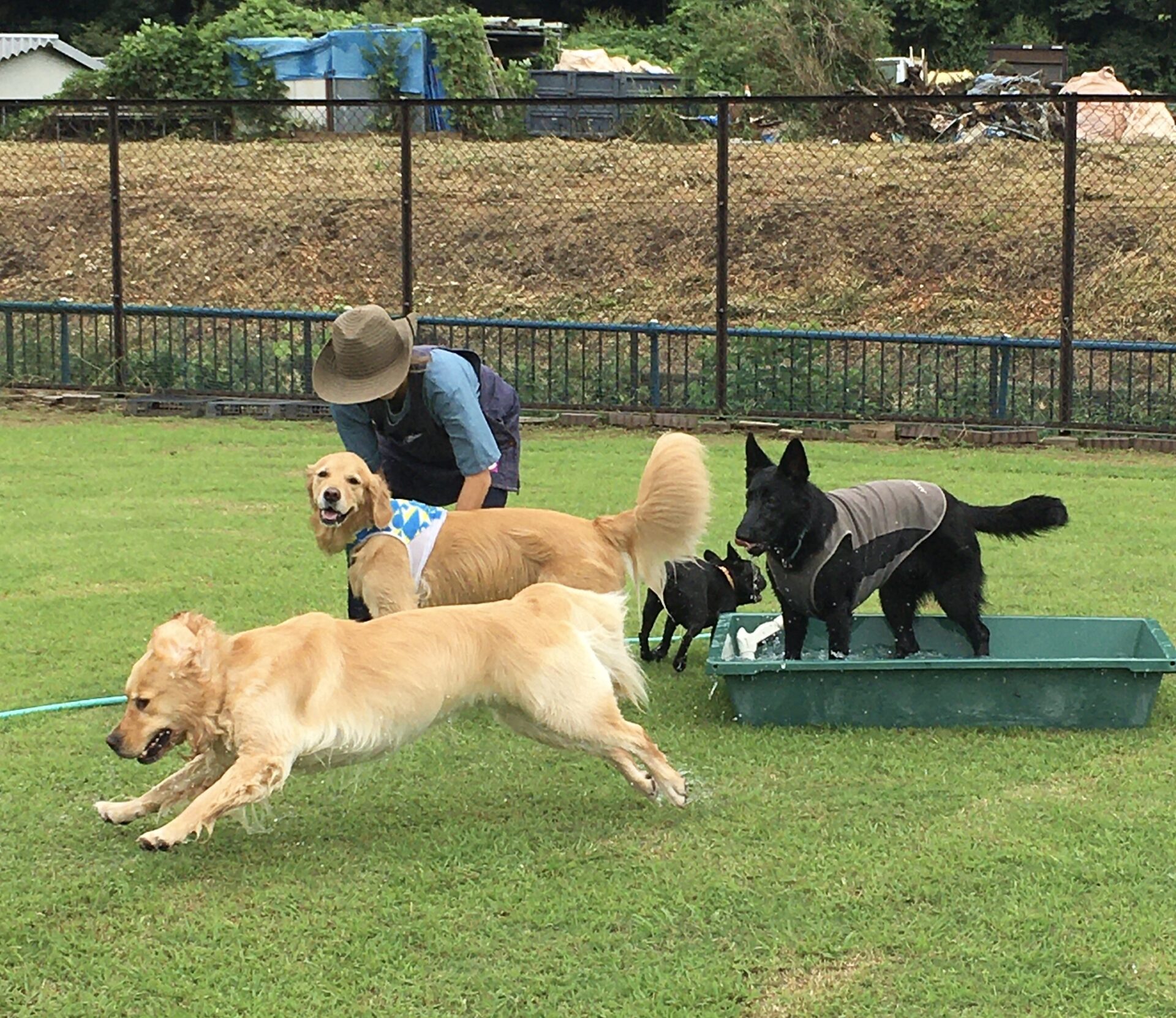 ファイル 8400-5.jpeg