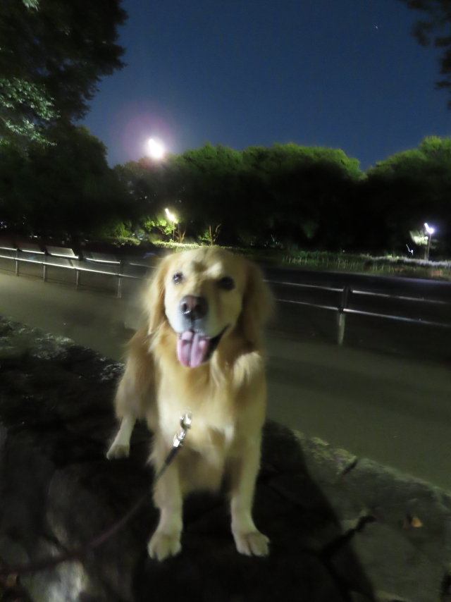 ファイル 8401-1.jpg