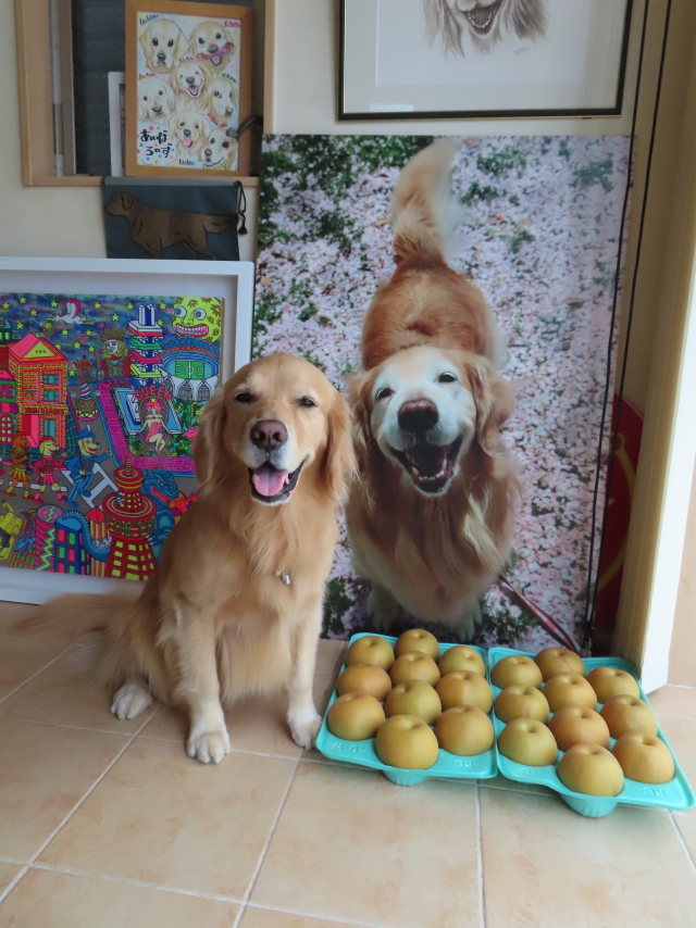 ファイル 8402-3.jpg