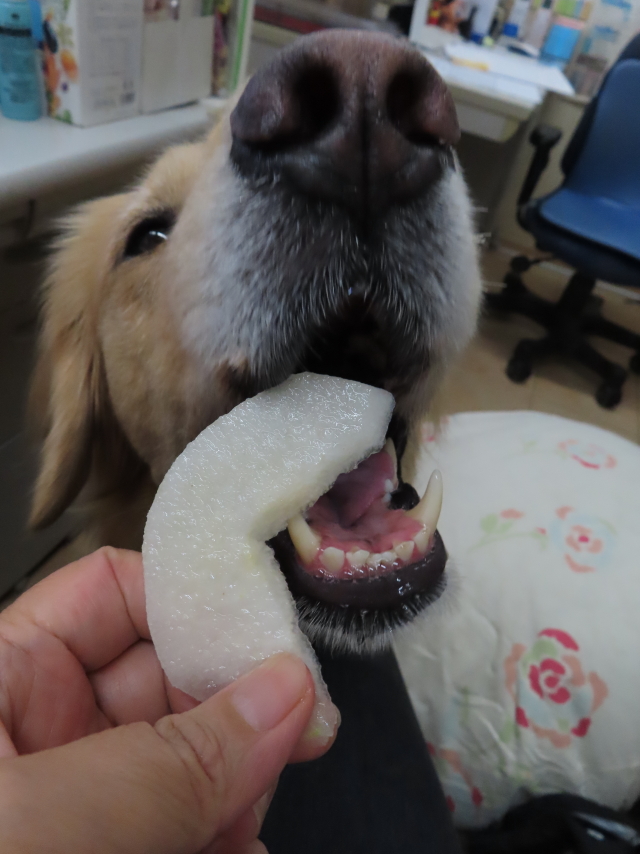 ファイル 8402-5.jpg