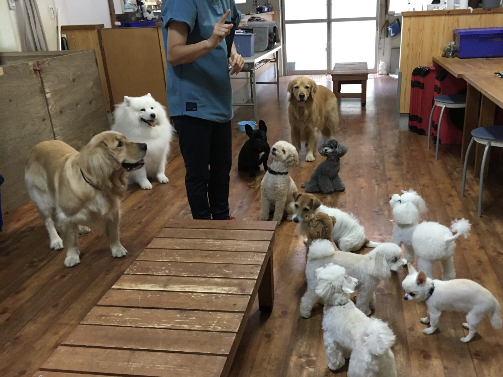 ファイル 8404-1.jpeg