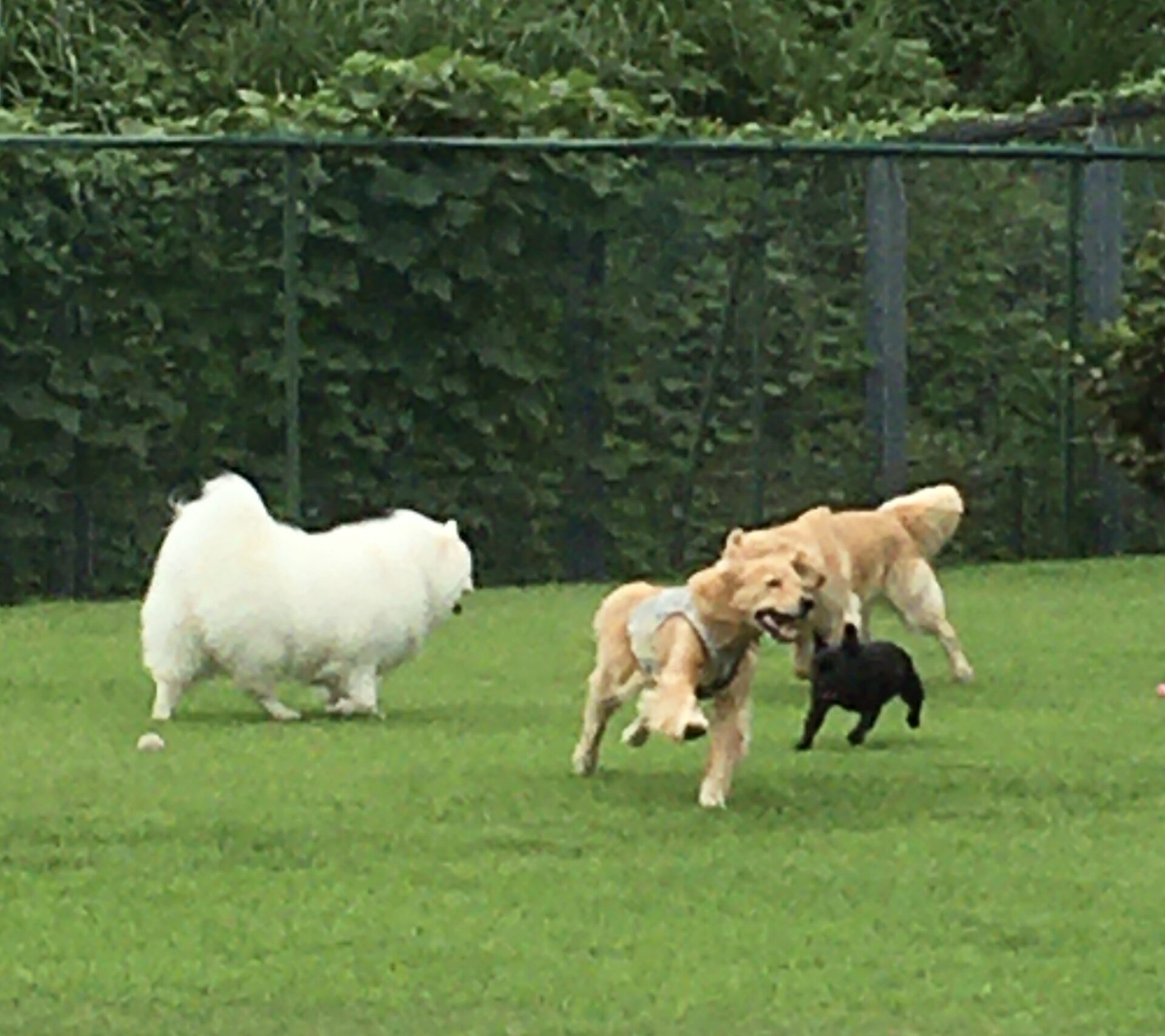 ファイル 8404-2.jpeg