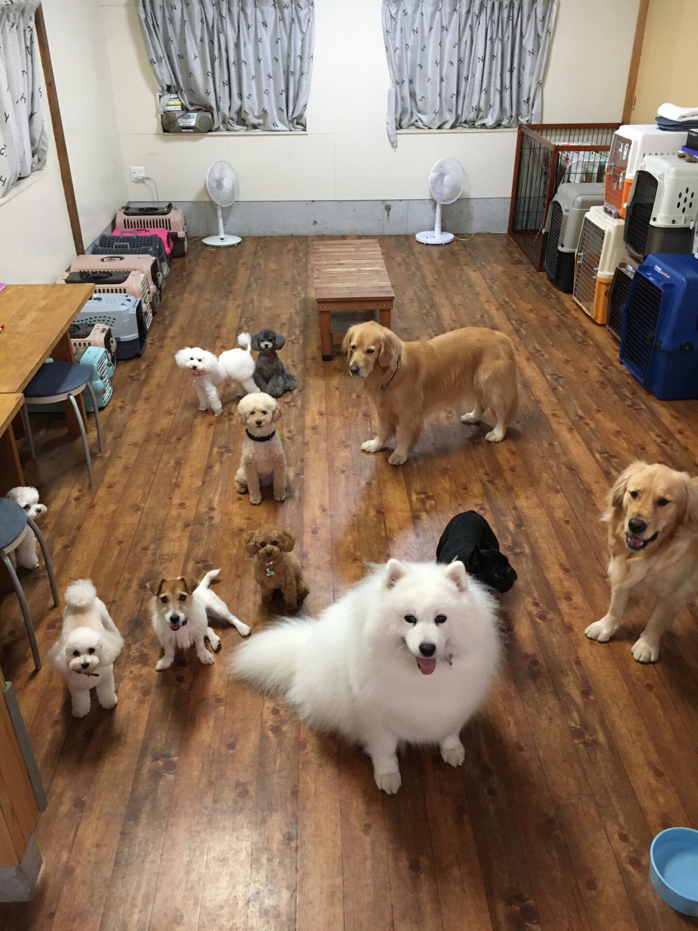 ファイル 8404-5.jpeg