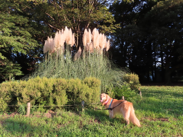 ファイル 8405-3.jpg