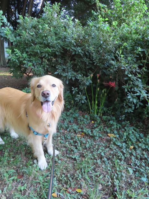 ファイル 8405-4.jpg