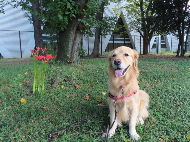 ファイル 8405-5.jpg