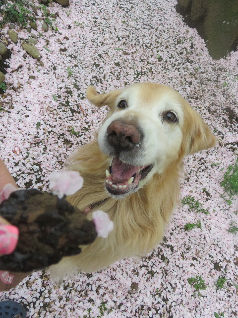 ファイル 8406-1.jpg