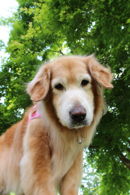 ファイル 8406-2.jpg