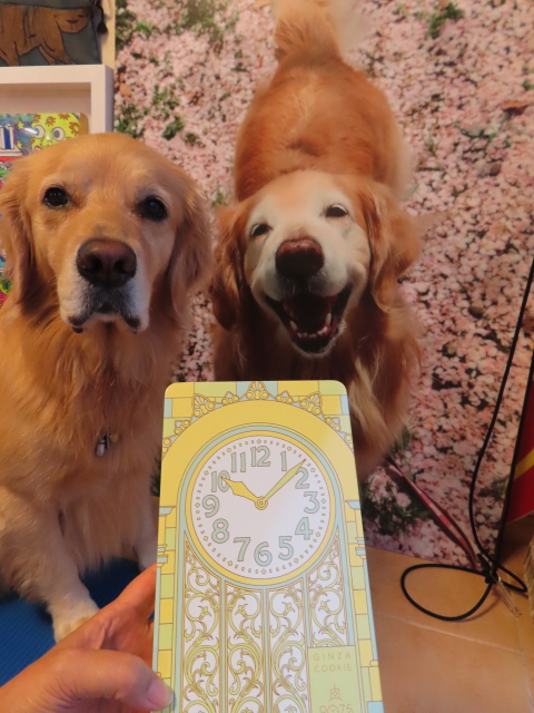 ファイル 8407-3.jpg