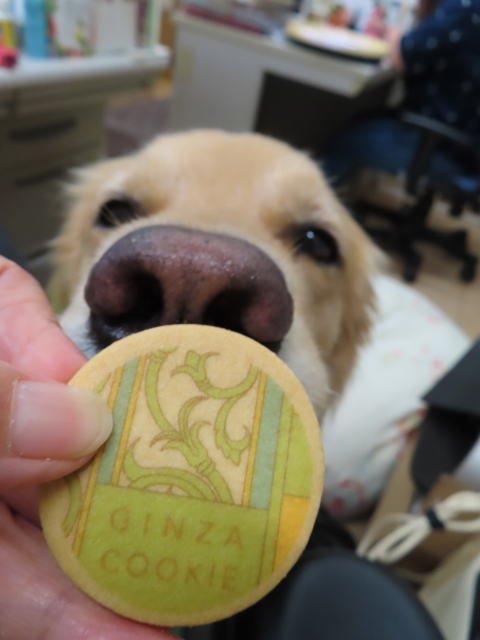 ファイル 8407-4.jpg