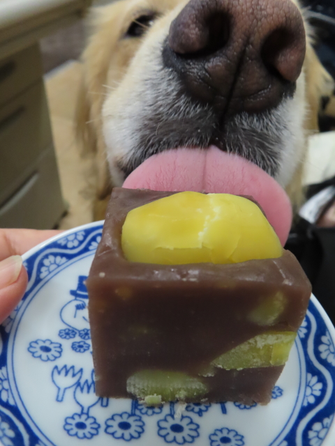 ファイル 8407-5.jpg