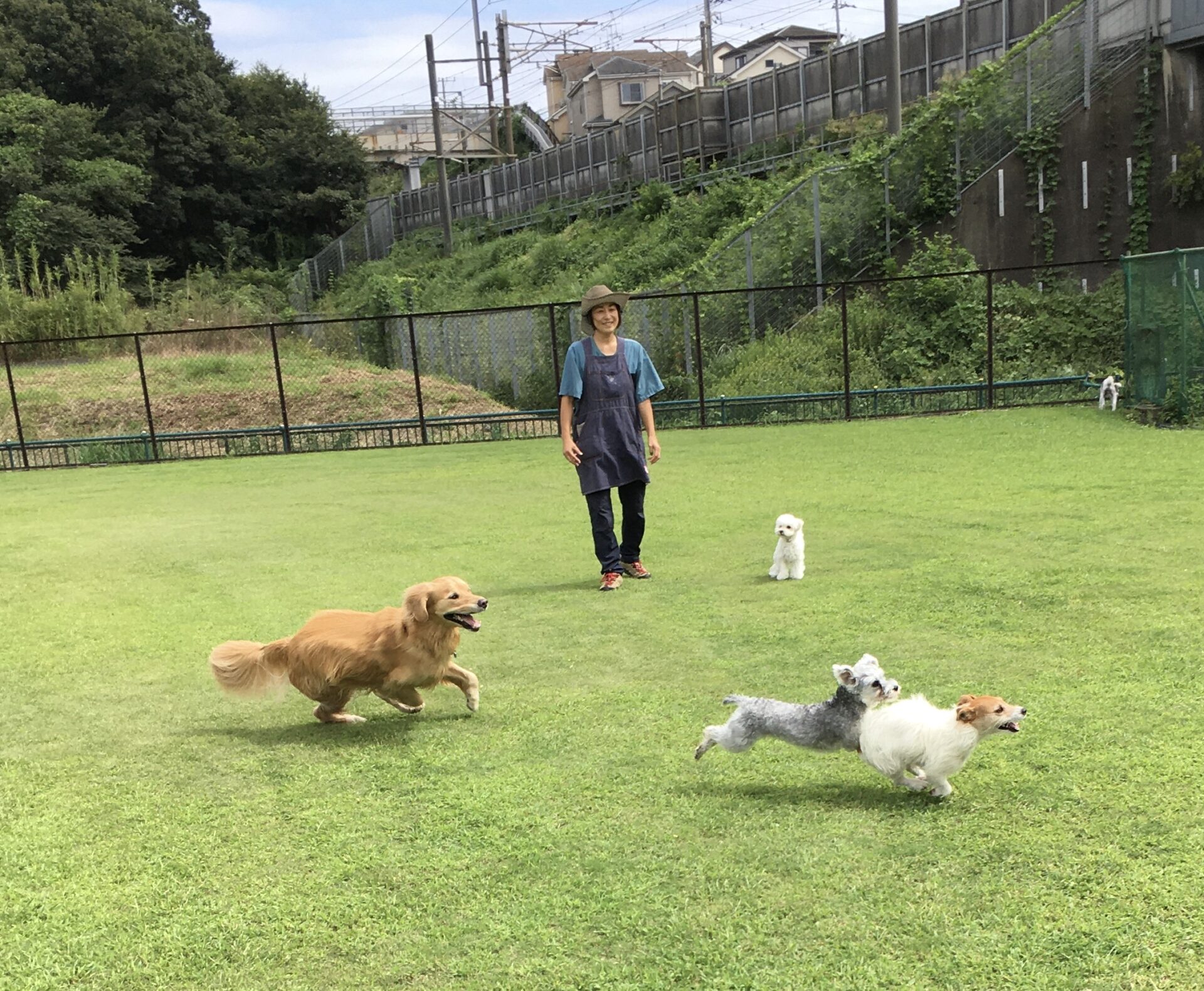 ファイル 8408-1.jpeg