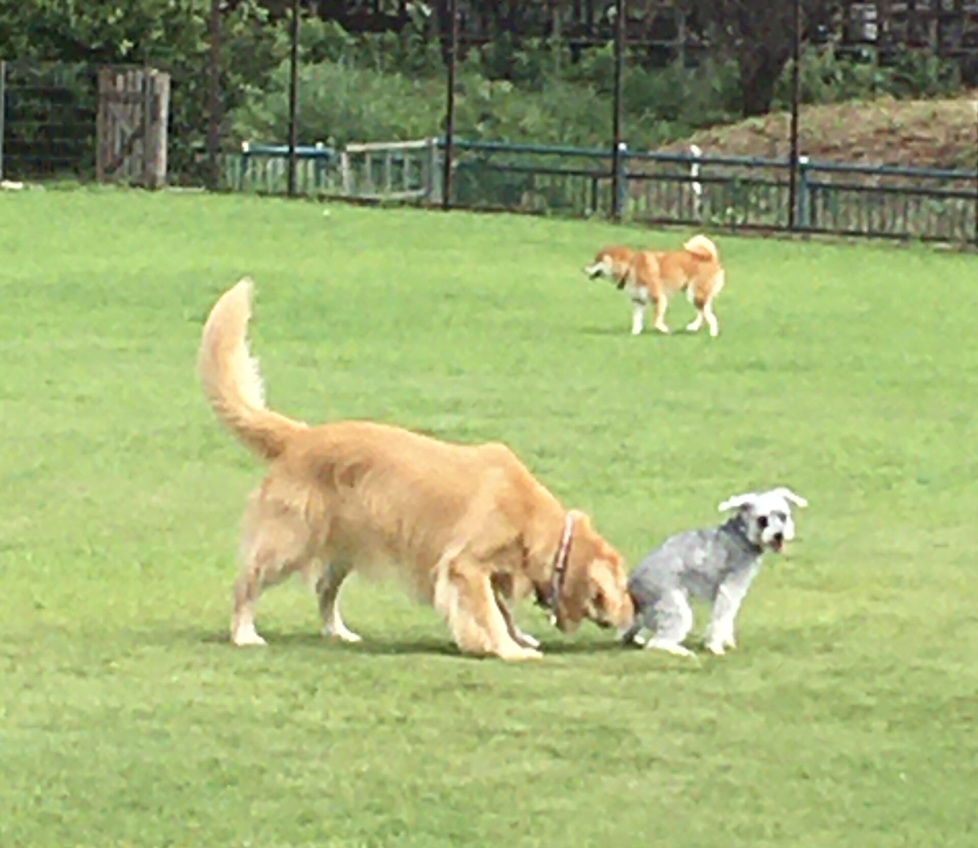 ファイル 8408-2.jpeg