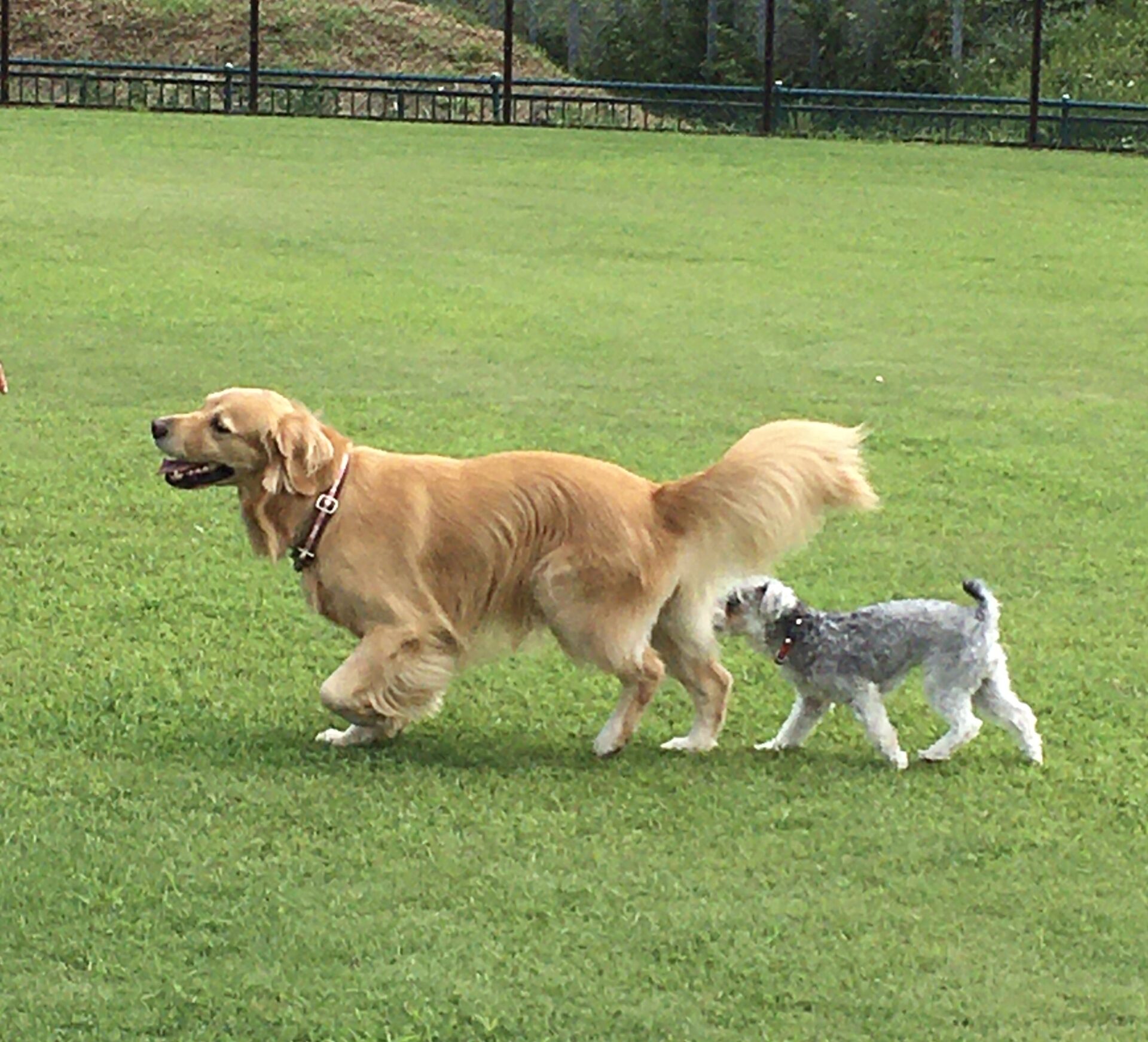 ファイル 8408-3.jpeg