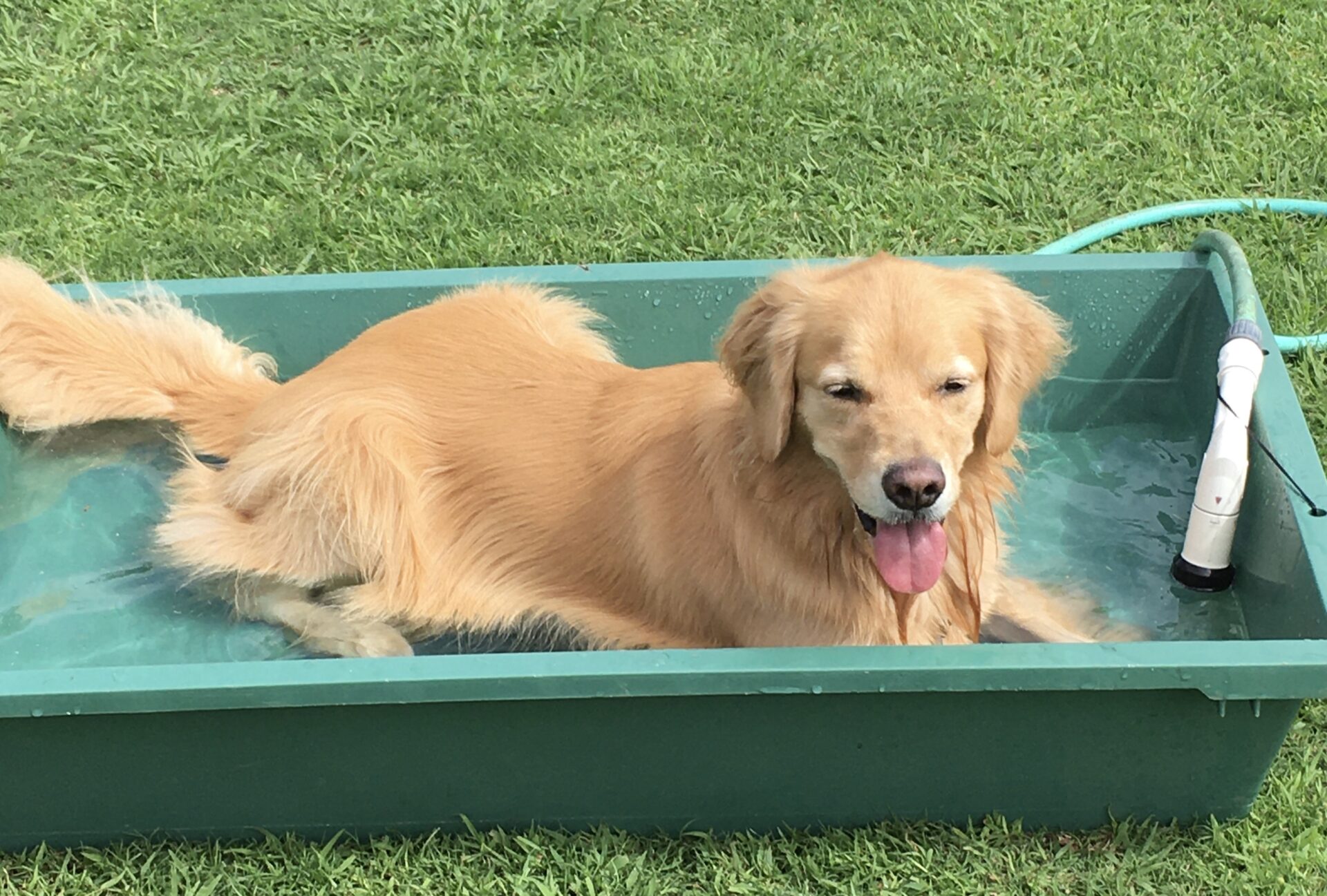 ファイル 8408-4.jpeg