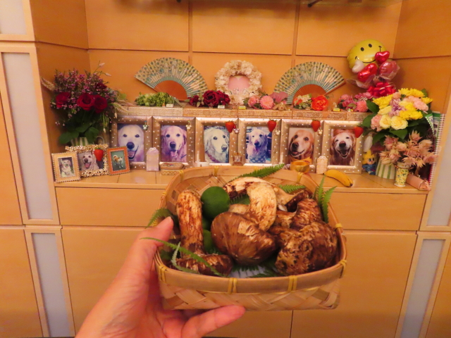 ファイル 8409-3.jpg