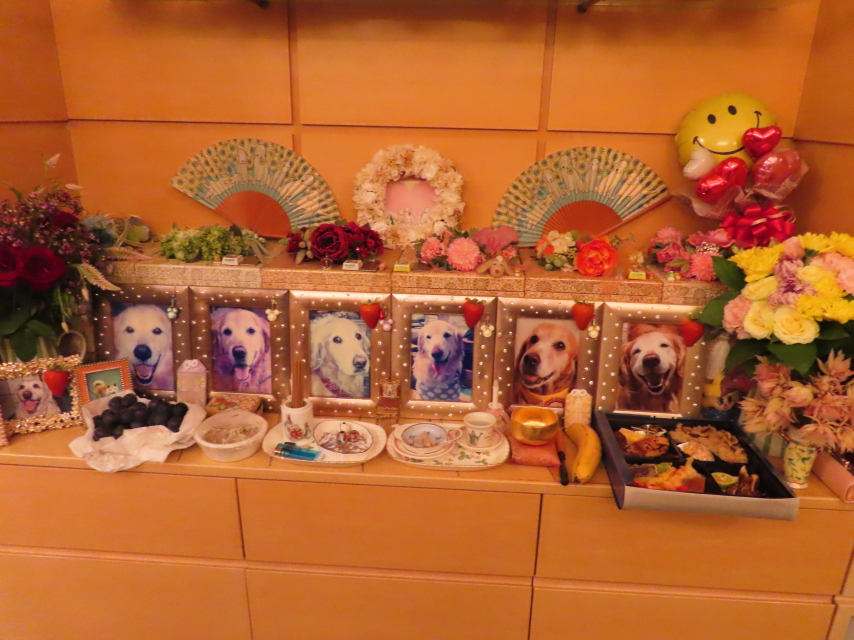 ファイル 8409-4.jpg